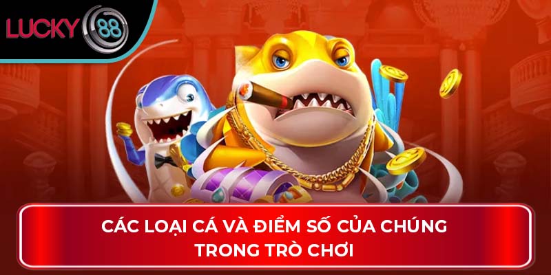 Bí Quyết Chọn Cá Và Điểm Số Trong Bắn Cá Jili Tại Lucky88 2 Các loại cá và điểm số của chúng trong trò chơi