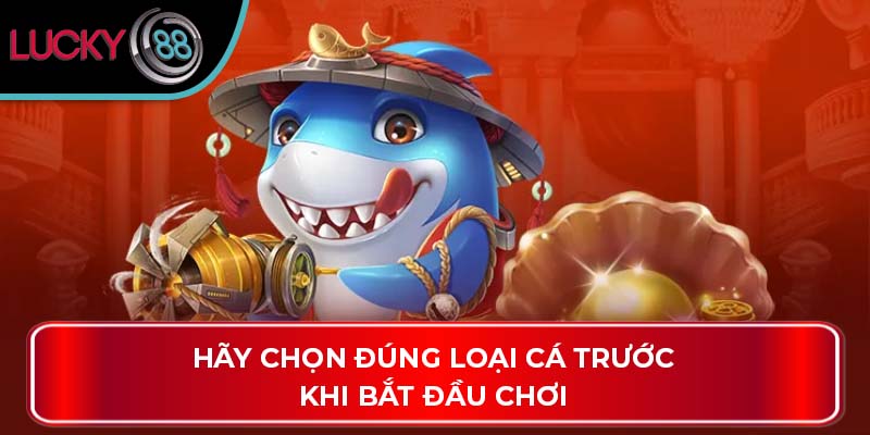 Bí Quyết Chọn Cá Và Điểm Số Trong Bắn Cá Jili Tại Lucky88 3 Hãy chọn đúng loại cá trước khi bắt đầu chơi