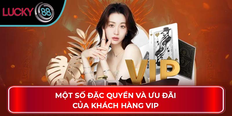 Ưu Đãi Vip Nhà Cái Lucky88: Hướng Dẫn & So Sánh Chi Tiết 4 Một số đặc quyền và ưu đãi của khách hàng VIP